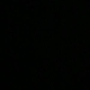 Meet your Posher, Bobby